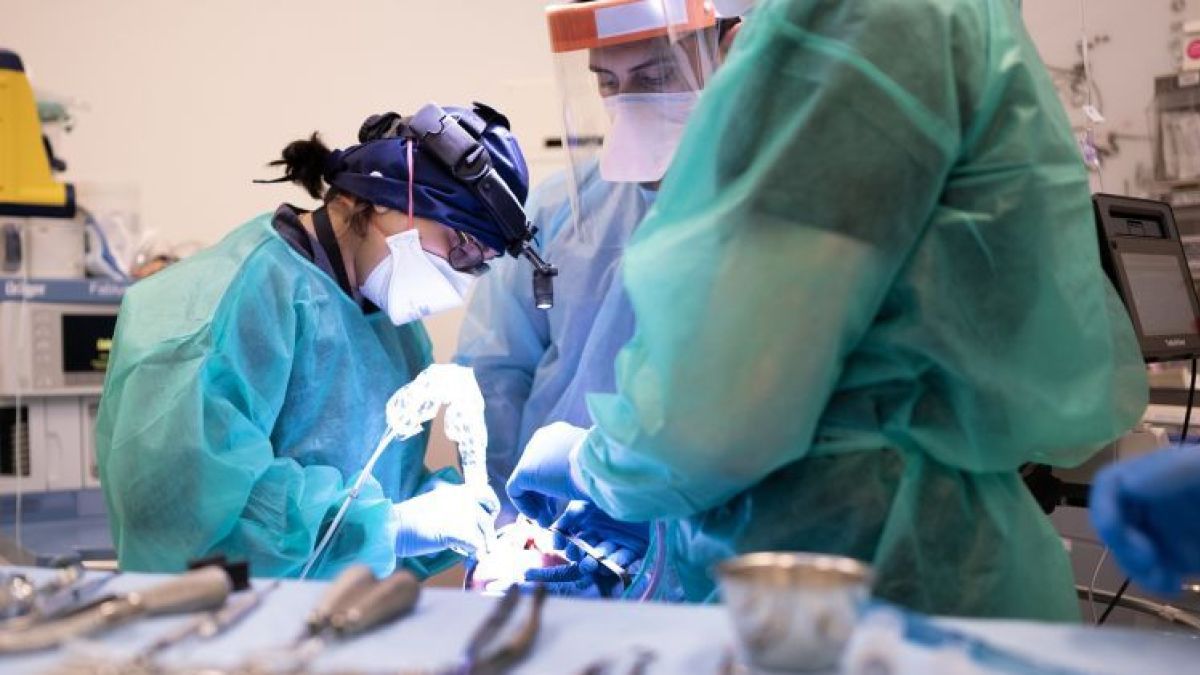 dentists dressed in scrubs stand at an operating table