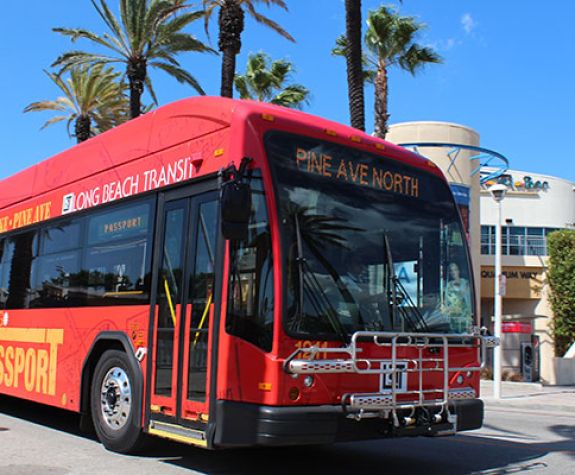 Transit Bus