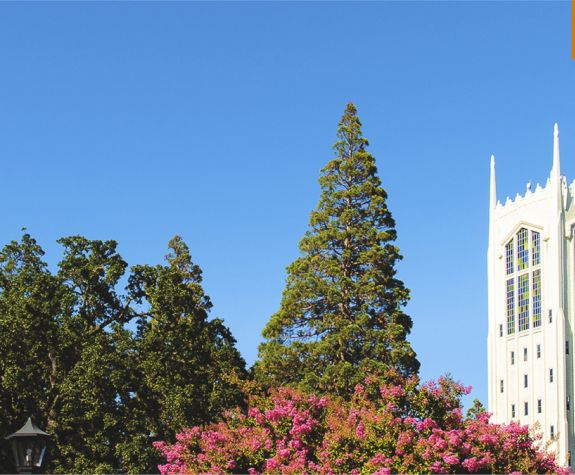 Burns tower