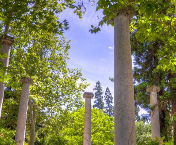 columns