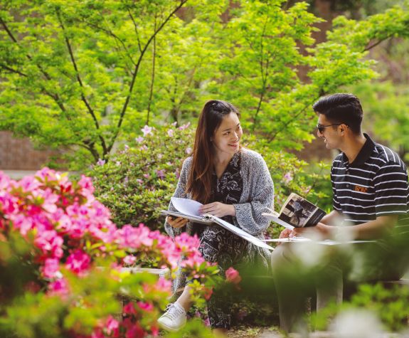 Students sitting outdoors, studying