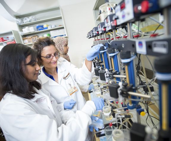 Roshanak Rahimian in lab with Pharmaceutical and Chemical Sciences Program graduate student