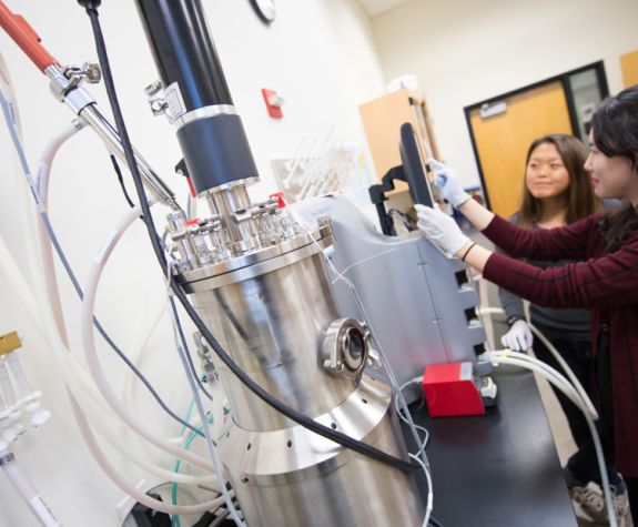 Students working at the bioengineering lab.