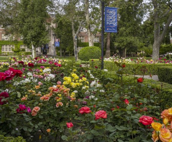 Campus beauty