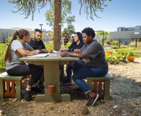students sitting in Robb Garden