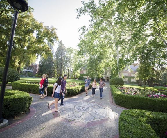 rose garden