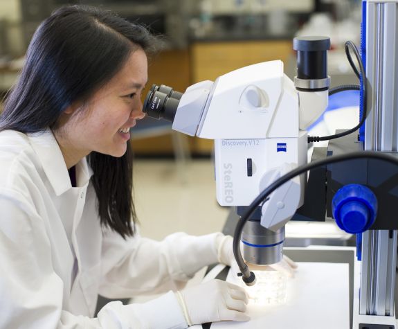 Scientist with microscope