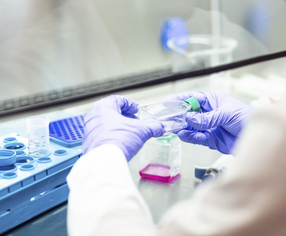 Pharmaceutical research