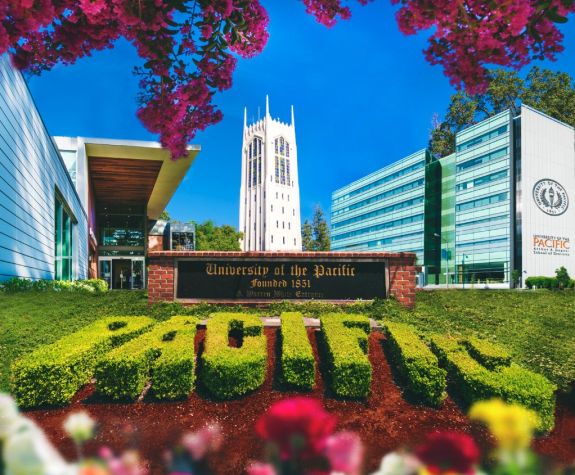 Three campuses mockup