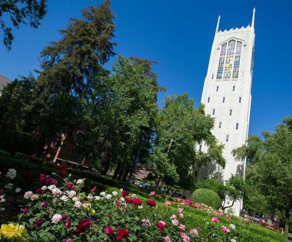 Burns Tower foregrounded by roses