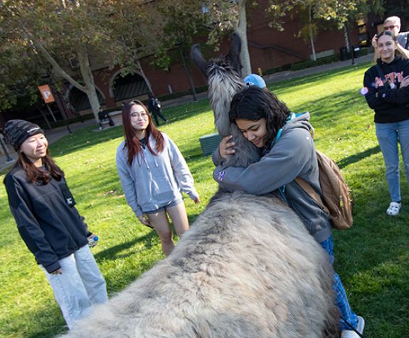 student hugs a llama while other students watch