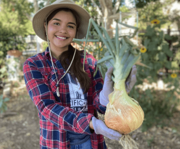 Garden Student Volunteer in Robb Garden