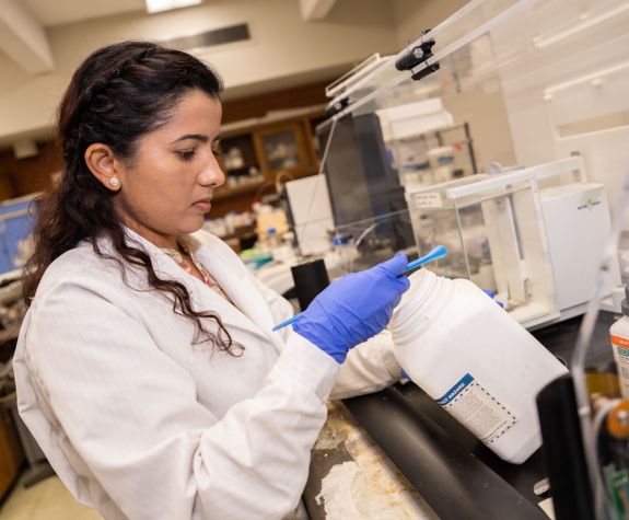 Graduate student conducting research