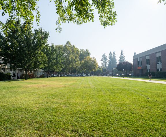 WPC Lawn