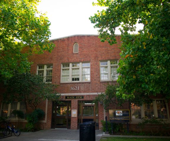 Main Gym