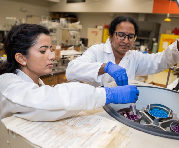 Two graudate students conducting research