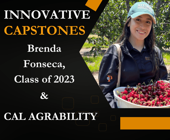 Occupational Therapy Capstone