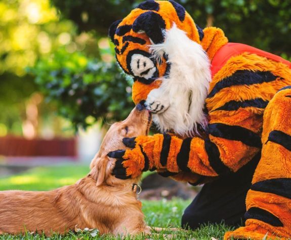 Cali and Tiger