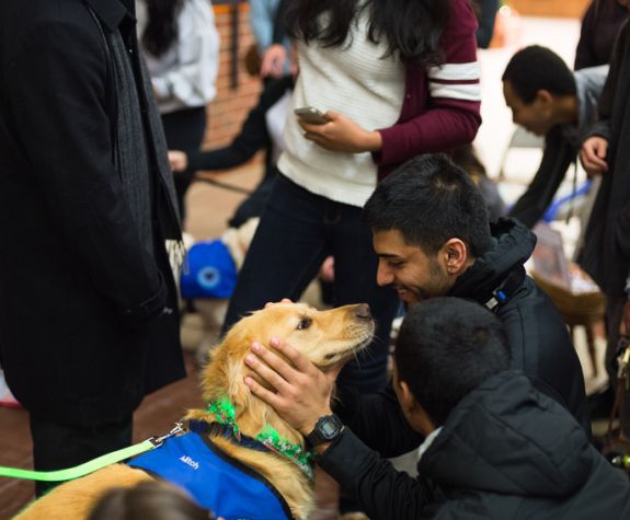 students with therapy dogs