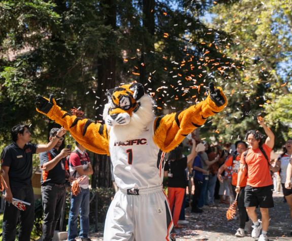 tiger cat with arms open wide