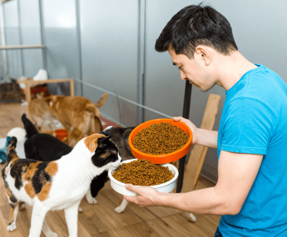 animal shelter