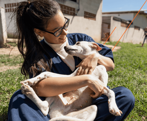 animal shelter