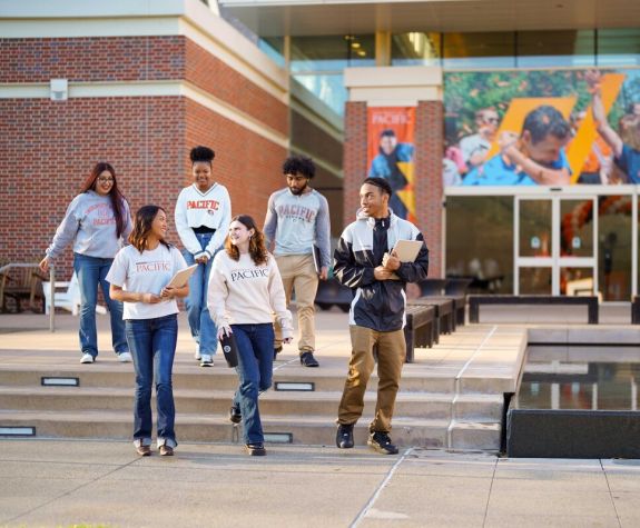 Students walk down steps together