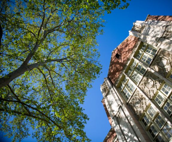 a tree and a building with the sky behind viewed from the ground