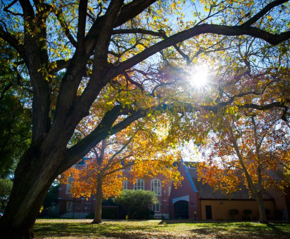 trees on the campus of university of the pacific