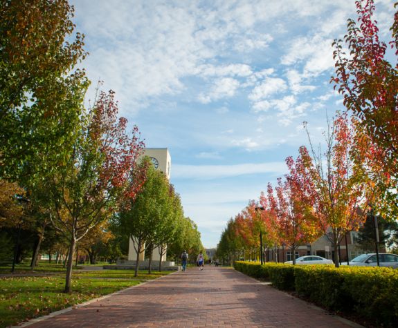 a tree-lined walkway at University of the Pacific