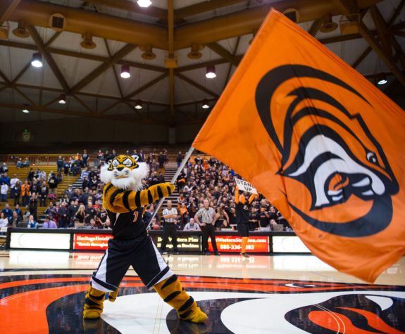 Powercat holding a flag