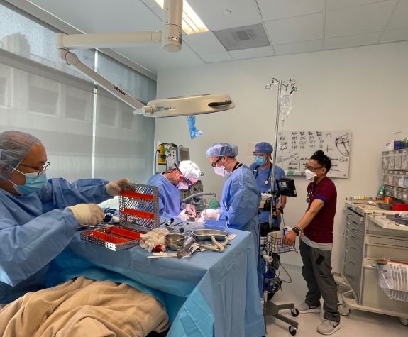 anesthesiologist in clinic