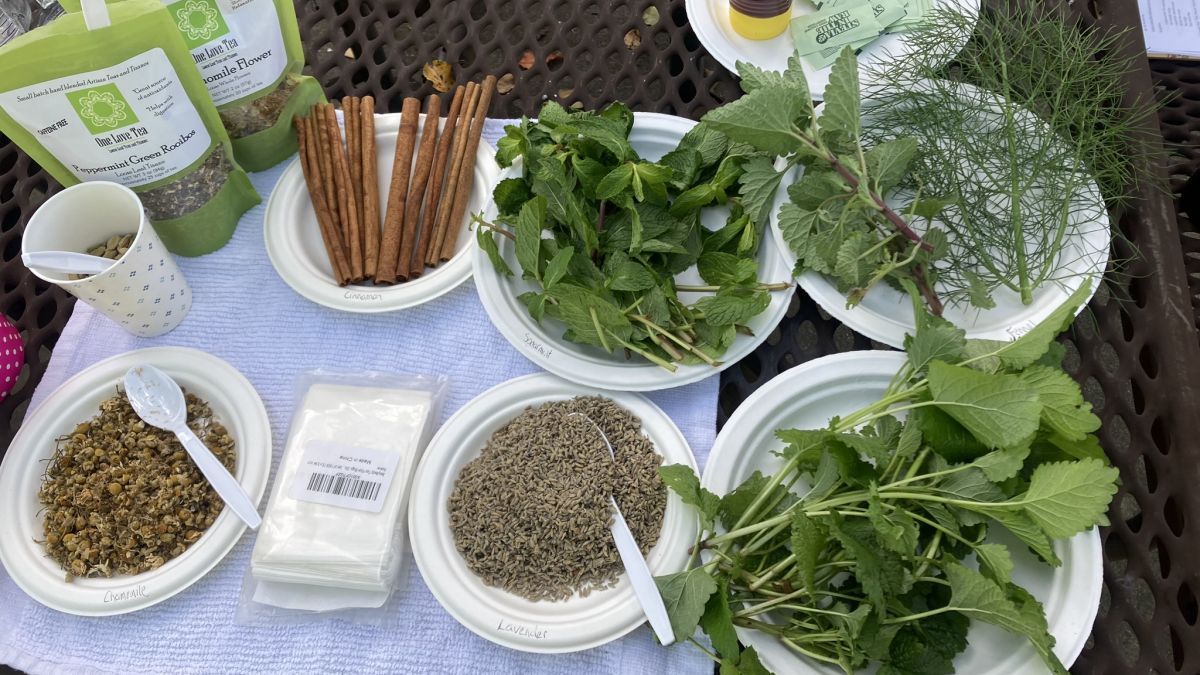A photo of healthy herbs from the garden