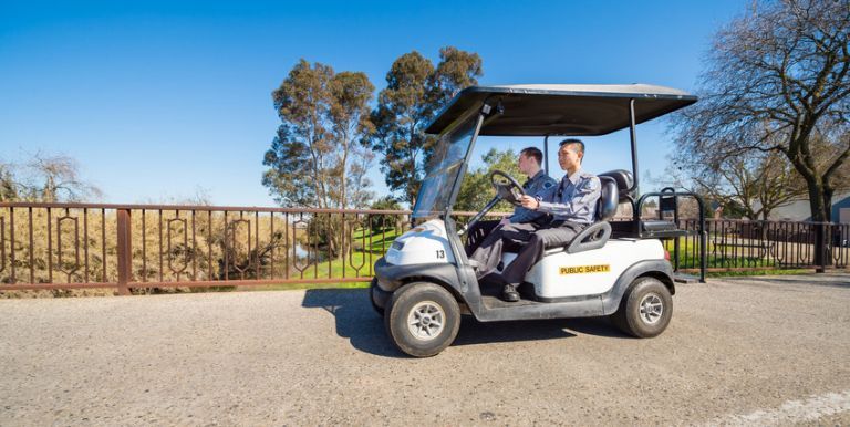 STRIPE golf cart