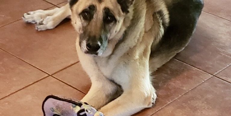 Lulu