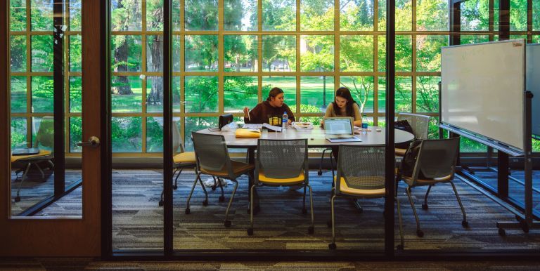 student studying in library
