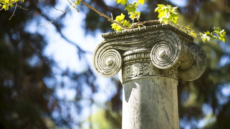 column with ivy