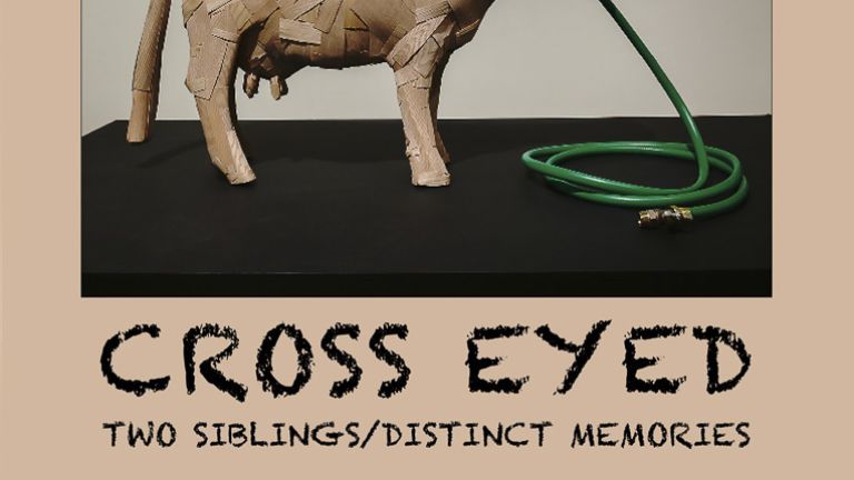 Cross-Eyed: Two Siblings / Distinct Memories