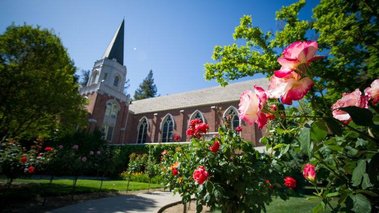 Morris Chapel rose garden