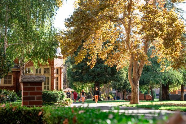 Students walking outside on Pacific's Stockton Campus