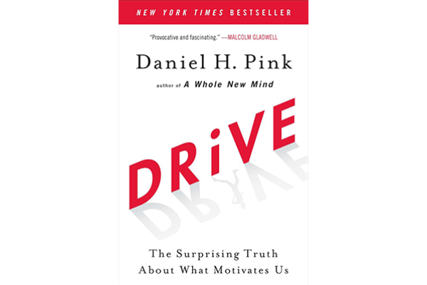 Drive: The Surprising Truth about What Motivates Us