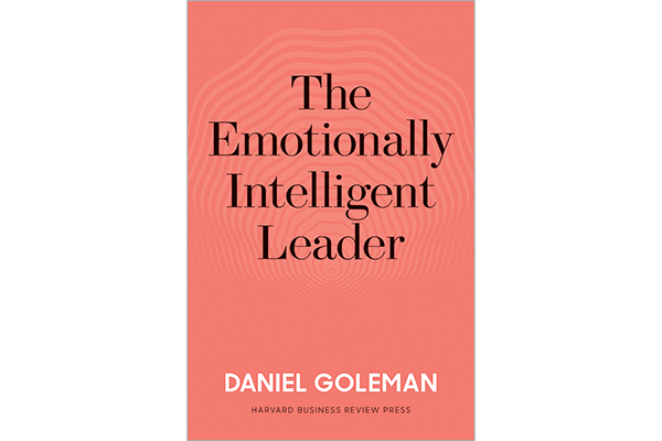 The Emotionally Intelligent Leader 