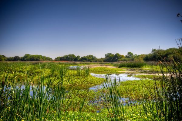 consumnes river