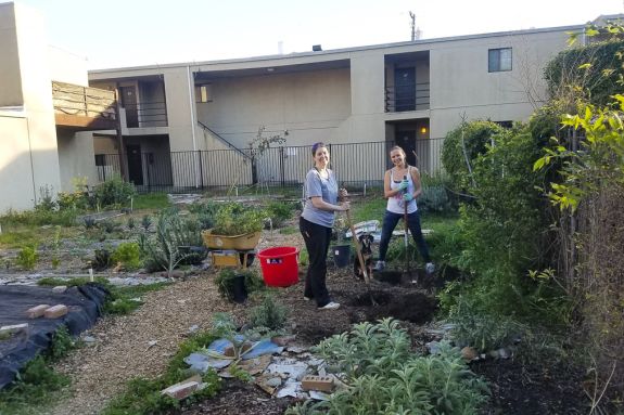 Sac garden