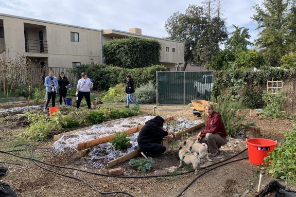 Sacramento Community Garden