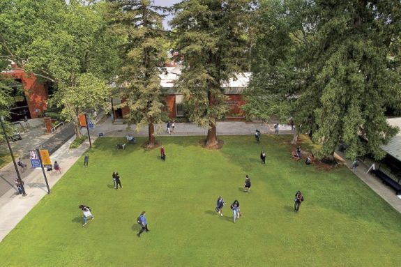 Students on the quad