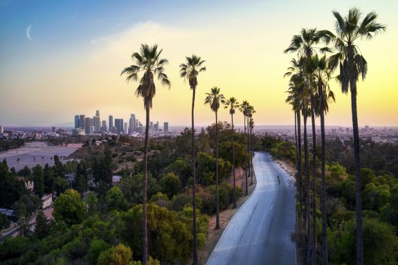 Road with palm trees with Los Angeles in the background.