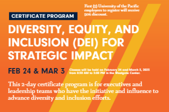 DEI Certificate Program
