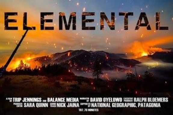 Elemental Movie Poster