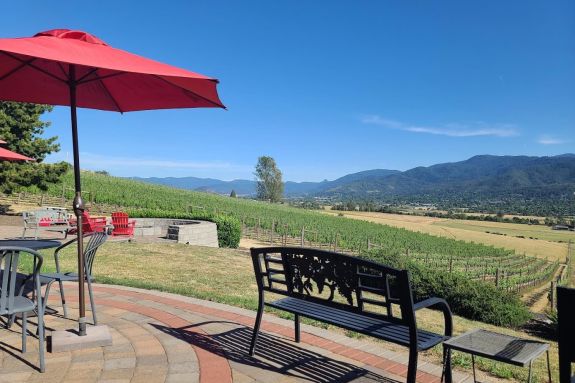 Outdoor photo of a bench and a field at Dana Campbell Vineyards